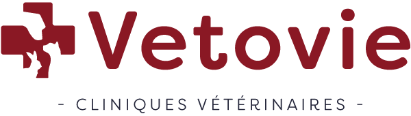 Vetovie Clinique Vétérinaire