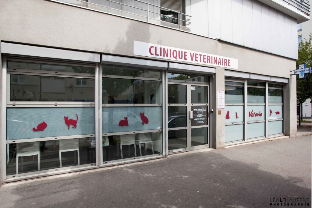 Vetovie Clinique Vétérinaire - Photo 1