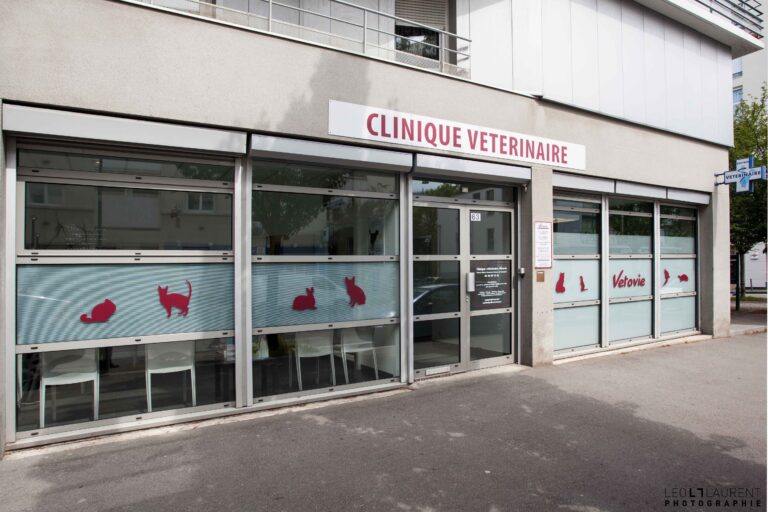Vetovie Clinique Vétérinaire